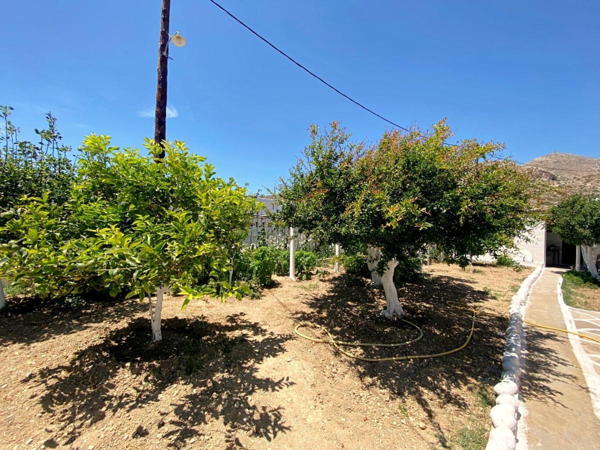 Michail Suites Afiartis Karpathos Dış mekan fotoğraf