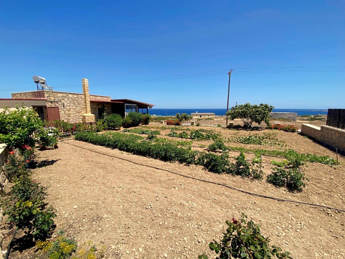 Michail Suites Afiartis Karpathos Dış mekan fotoğraf
