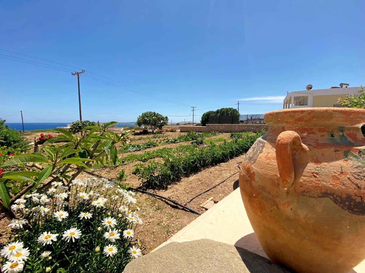 Michail Suites Afiartis Karpathos Dış mekan fotoğraf